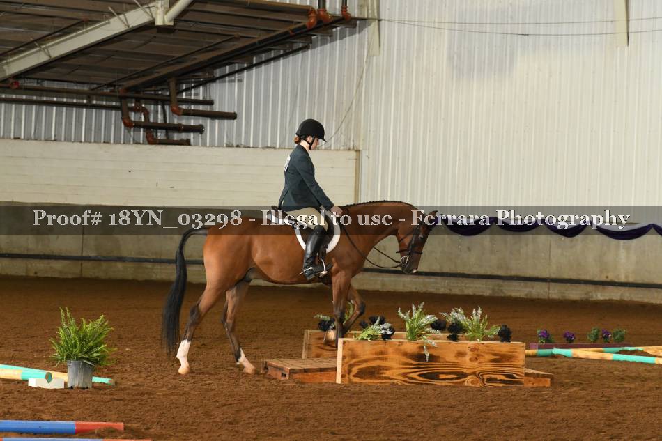 Proof 18YN_03298