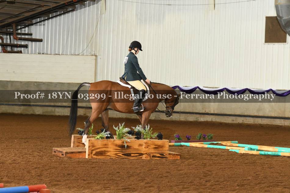 Proof 18YN_03299