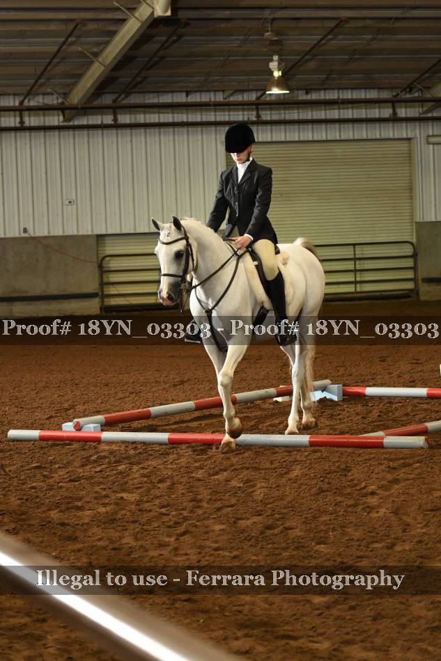 Proof 18YN_03303