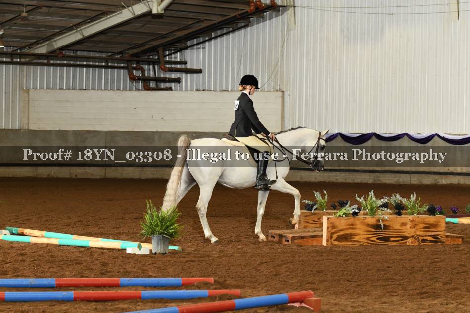 Proof 18YN_03308