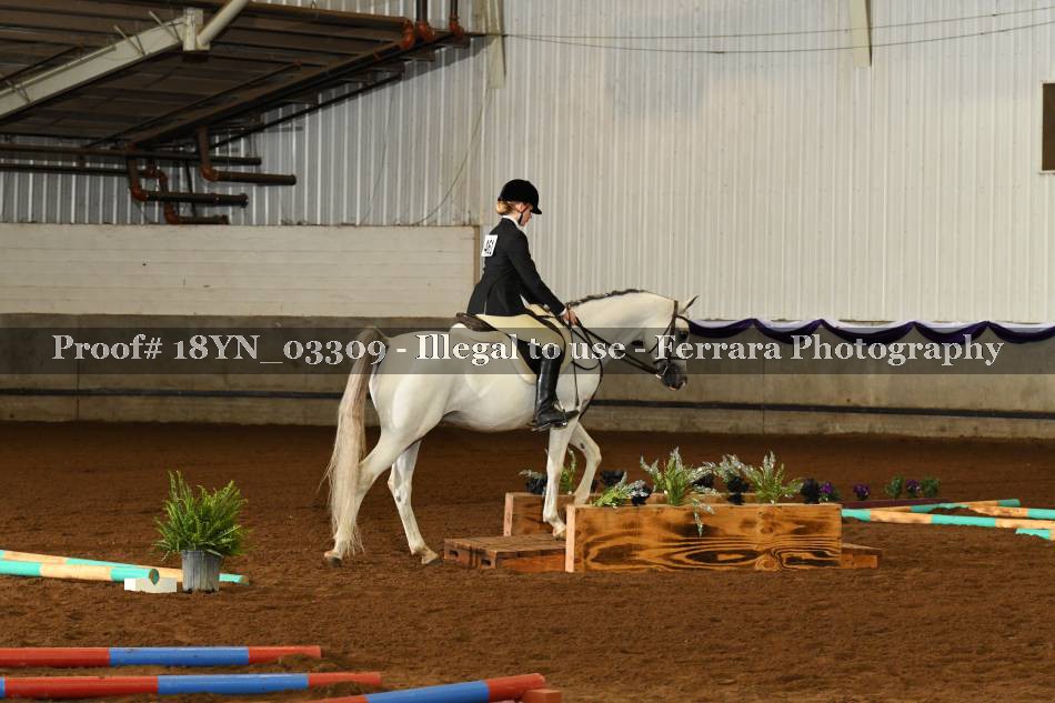 Proof 18YN_03309
