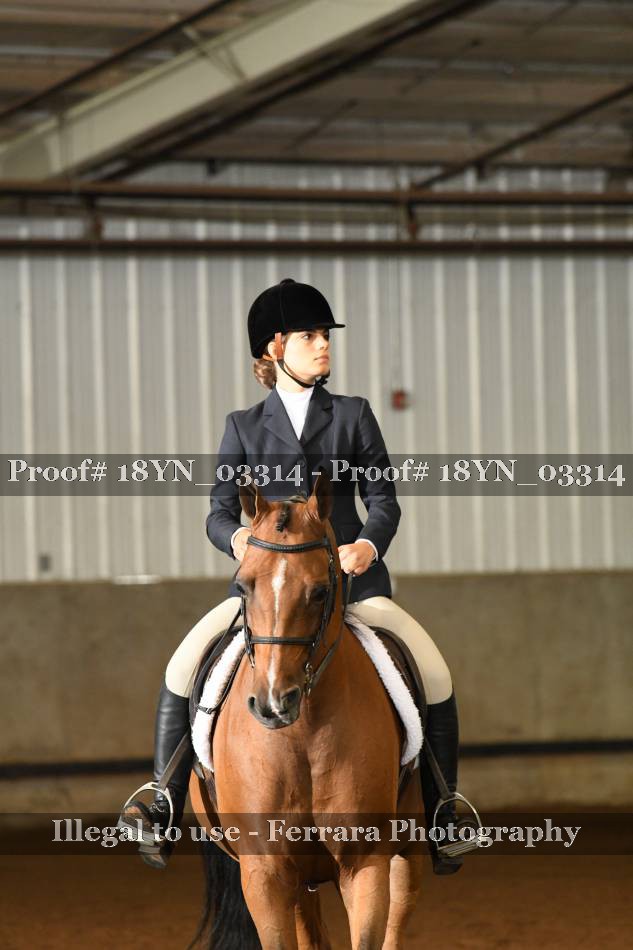Proof 18YN_03314