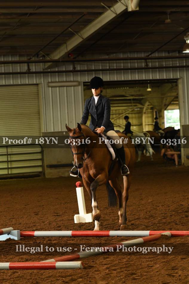 Proof 18YN_03316