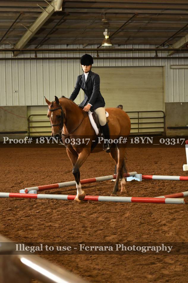 Proof 18YN_03317
