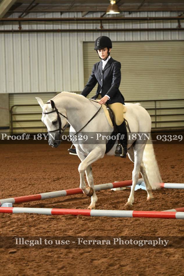 Proof 18YN_03329