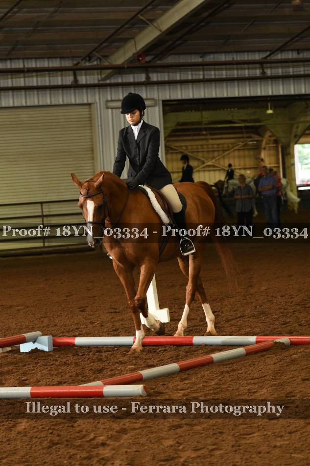 Proof 18YN_03334