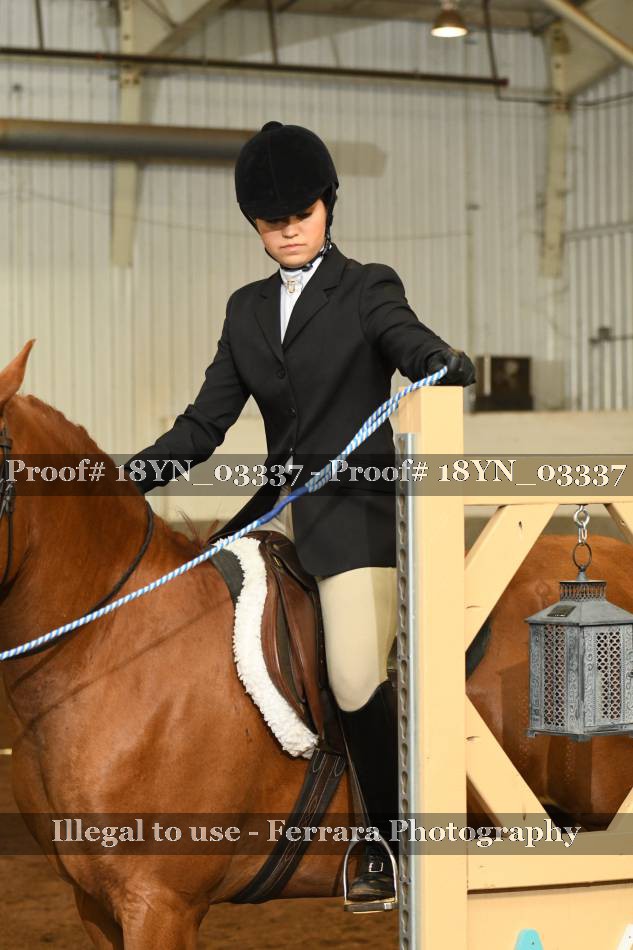 Proof 18YN_03337