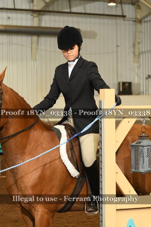 Proof 18YN_03338