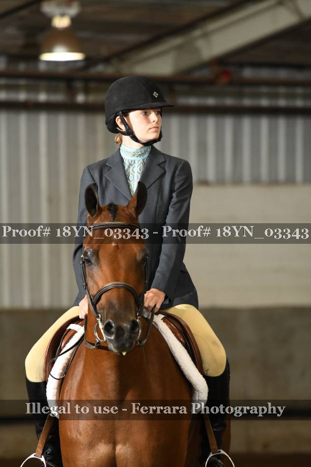 Proof 18YN_03343