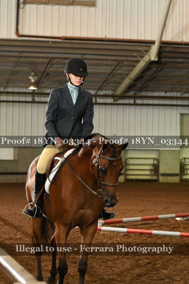 Proof 18YN_03344
