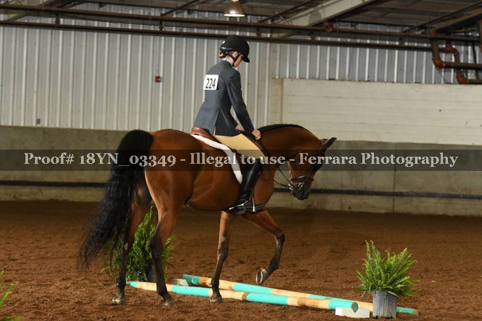 Proof 18YN_03349
