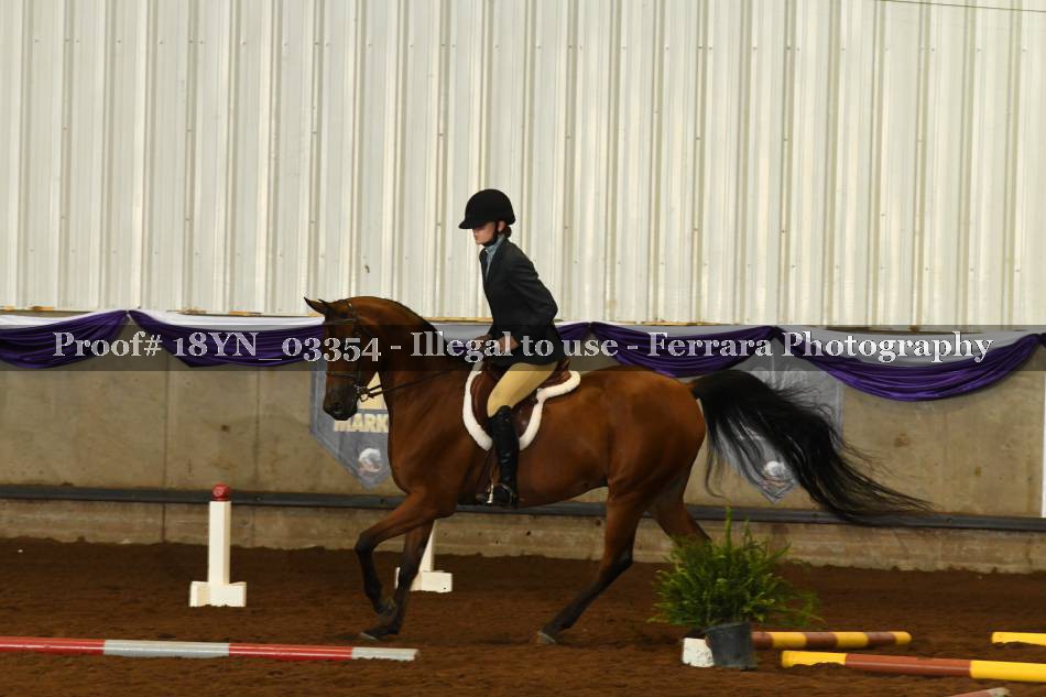 Proof 18YN_03354