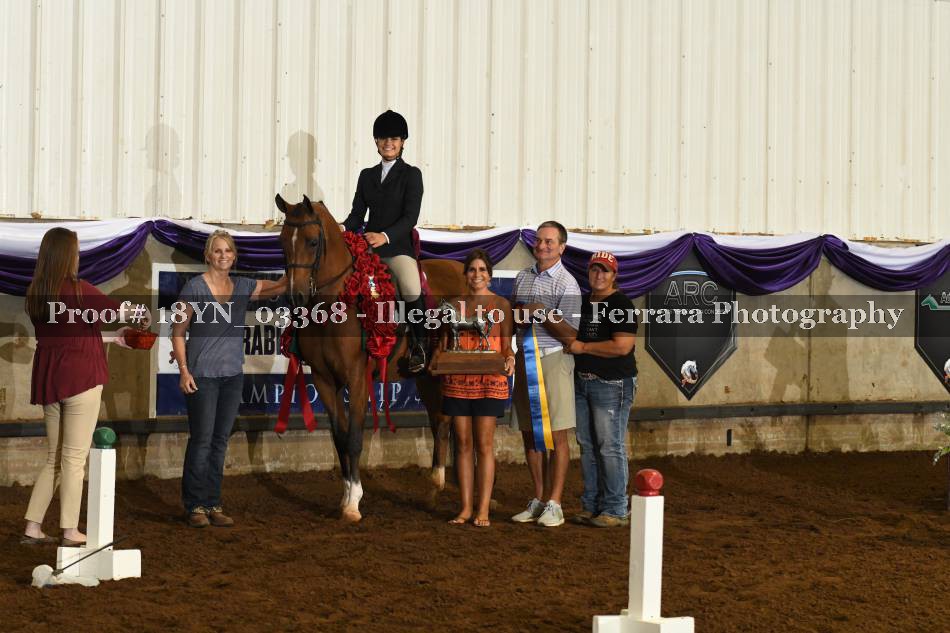 Proof 18YN_03368