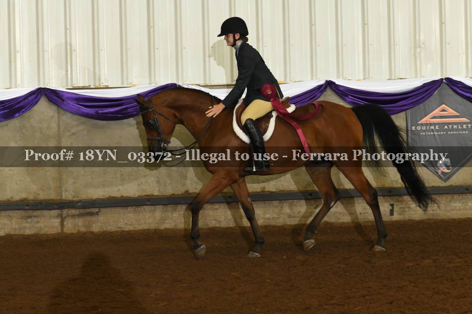 Proof 18YN_03372