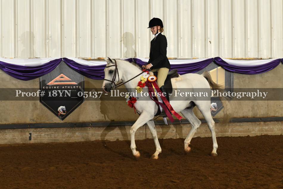 Proof 18YN_05137