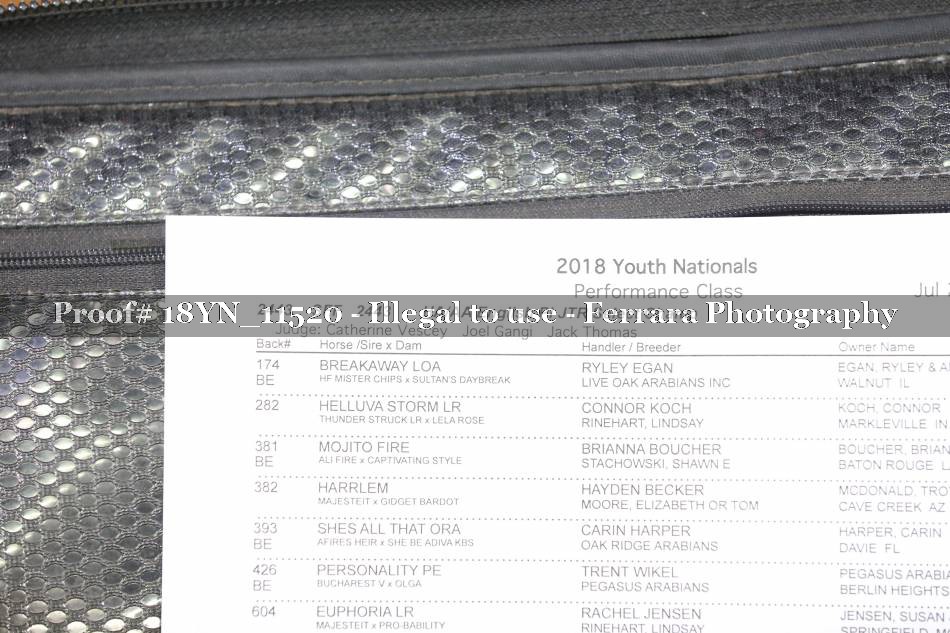 Proof 18YN_11520