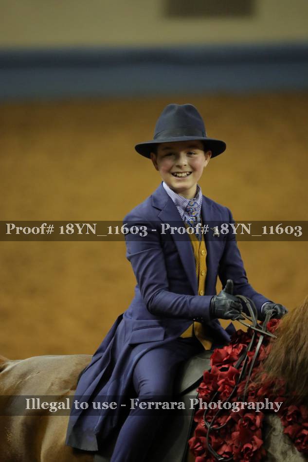 Proof 18YN_11603