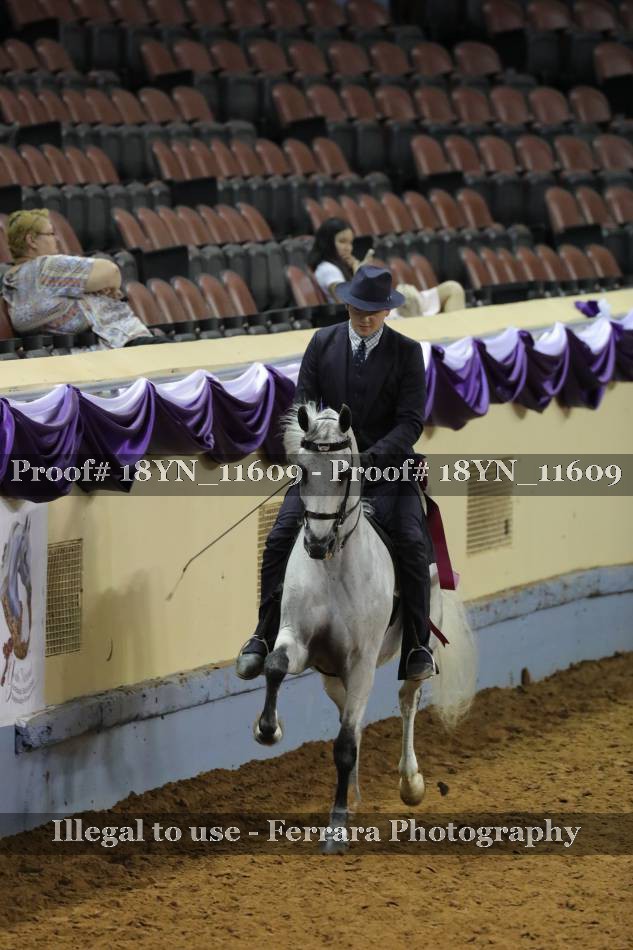 Proof 18YN_11609
