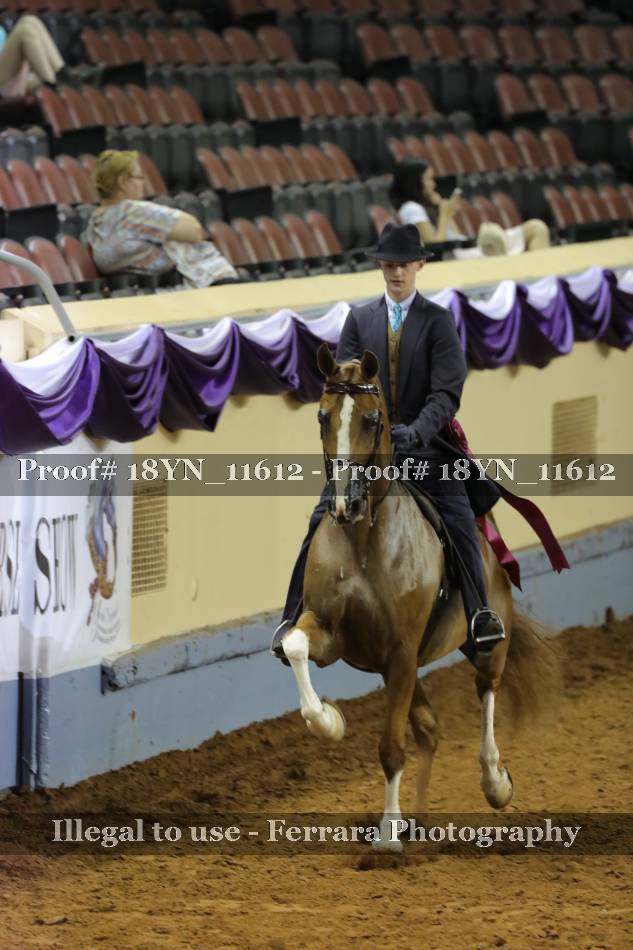 Proof 18YN_11612