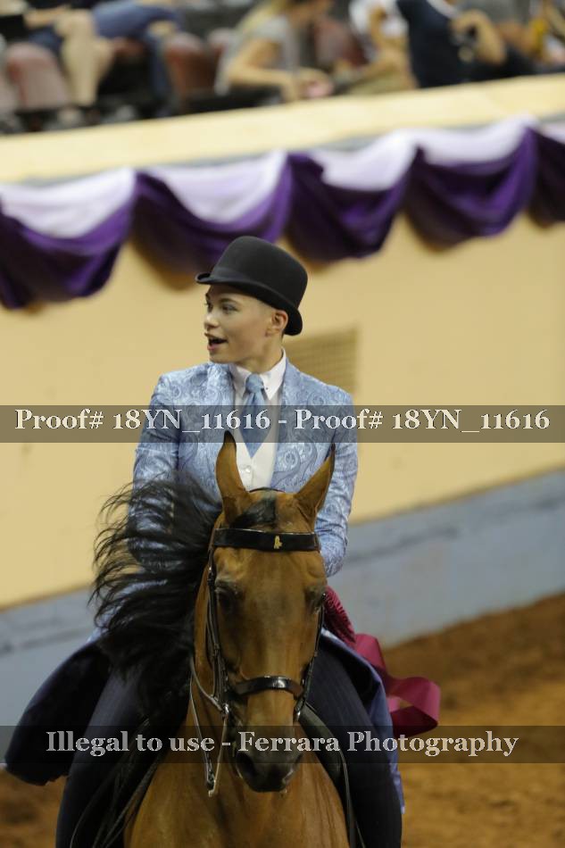 Proof 18YN_11616