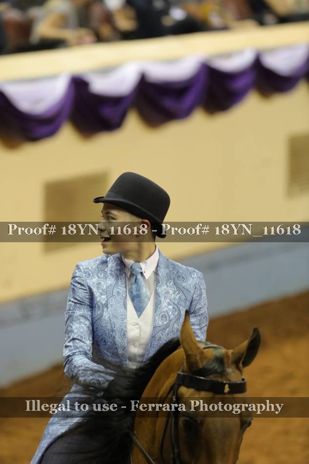Proof 18YN_11618