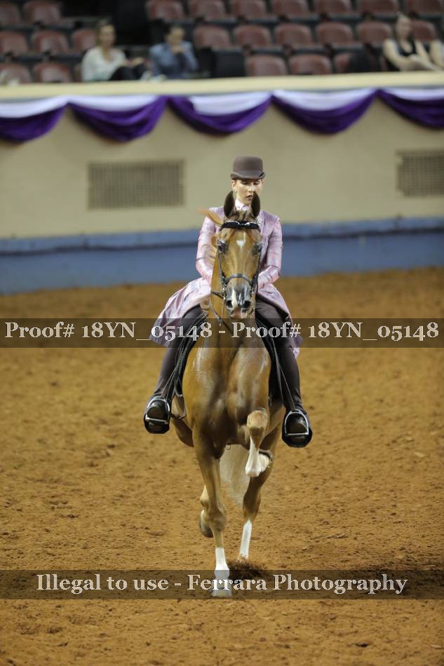 Proof 18YN_05148