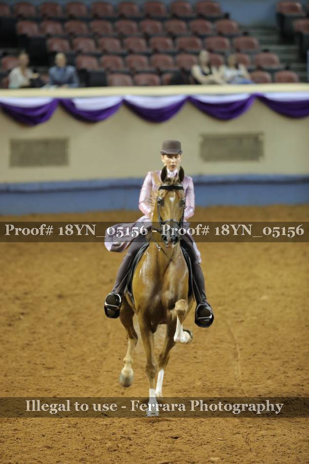 Proof 18YN_05156