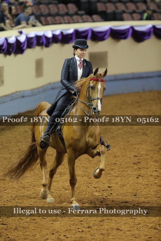 Proof 18YN_05162