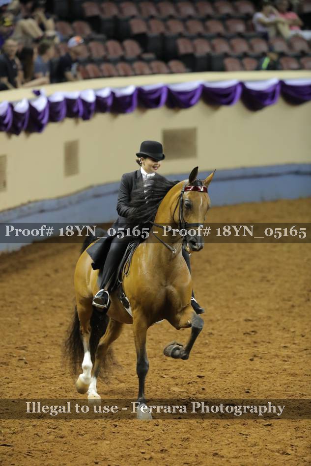 Proof 18YN_05165