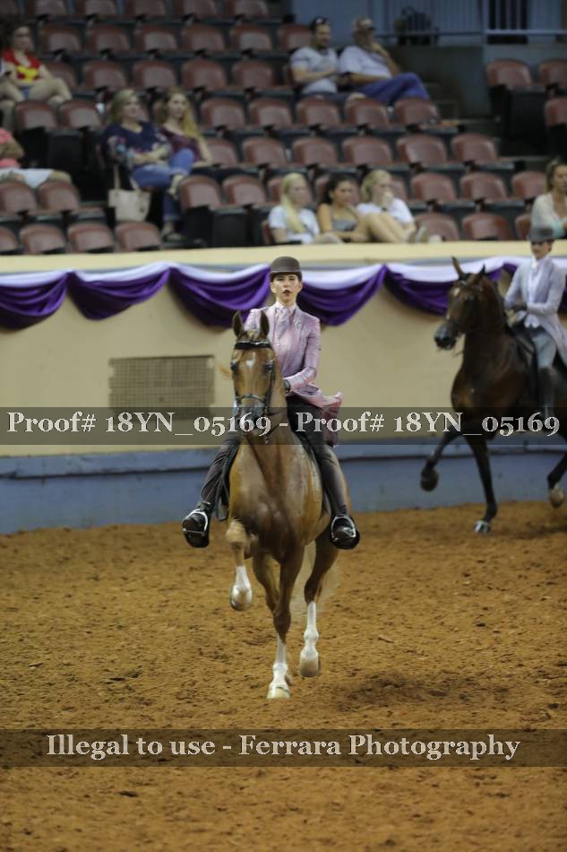 Proof 18YN_05169