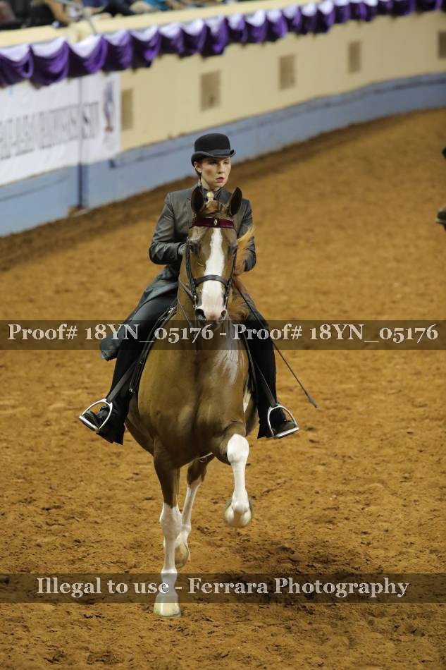 Proof 18YN_05176