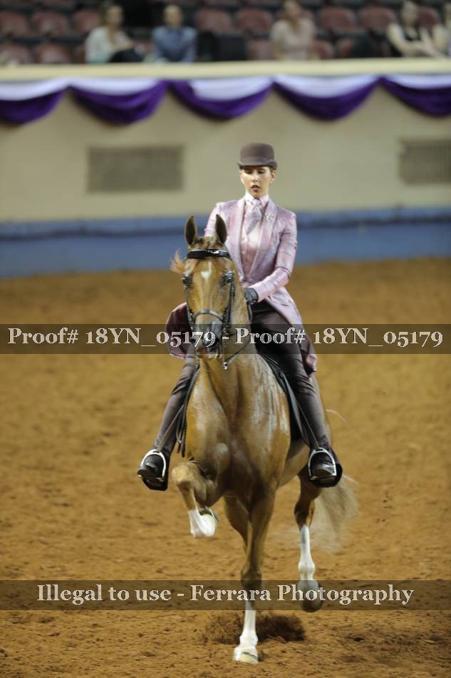 Proof 18YN_05179