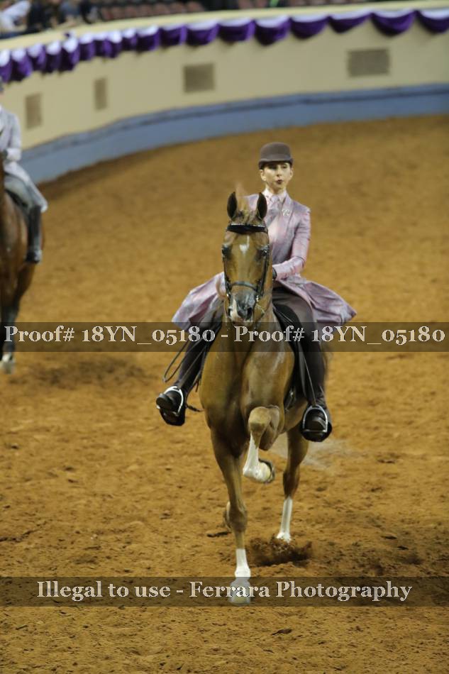 Proof 18YN_05180