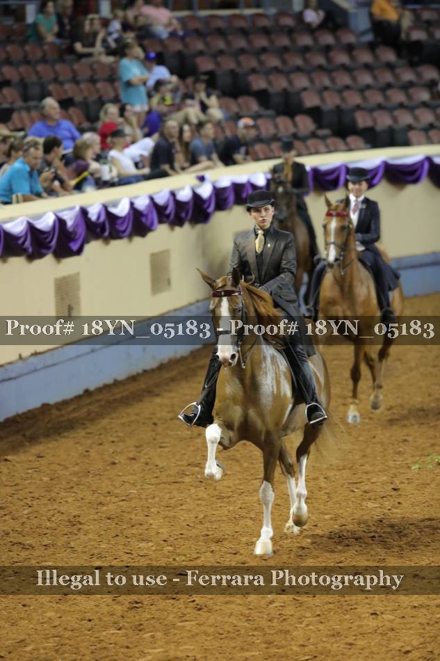 Proof 18YN_05183
