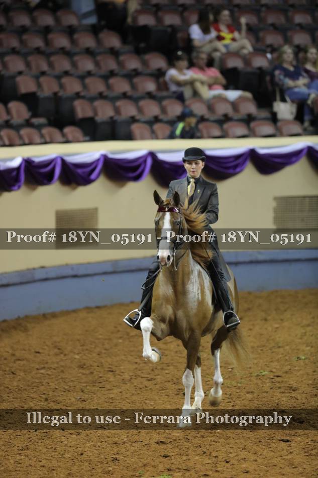Proof 18YN_05191