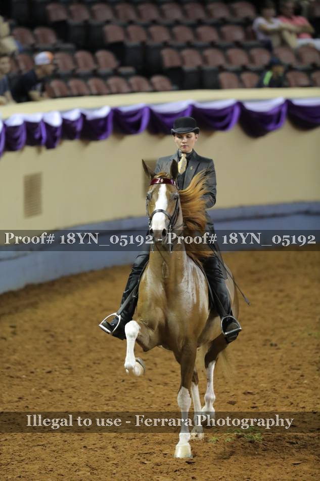 Proof 18YN_05192