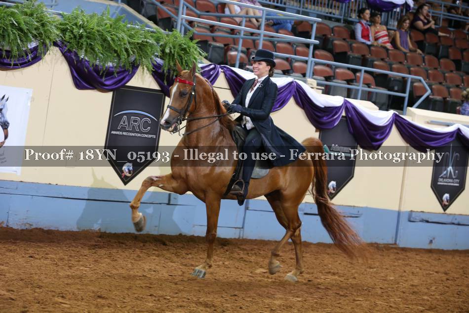 Proof 18YN_05193