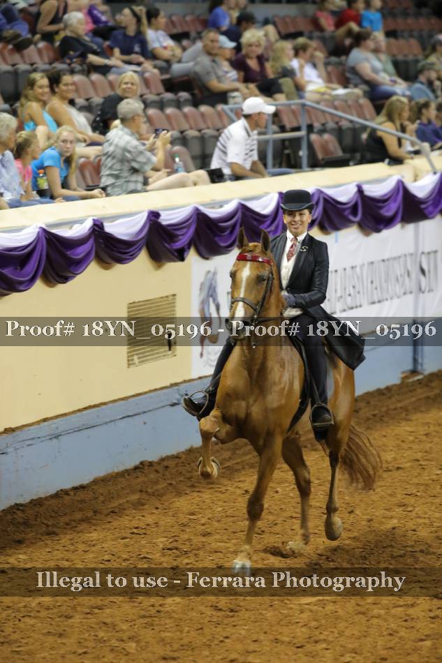 Proof 18YN_05196