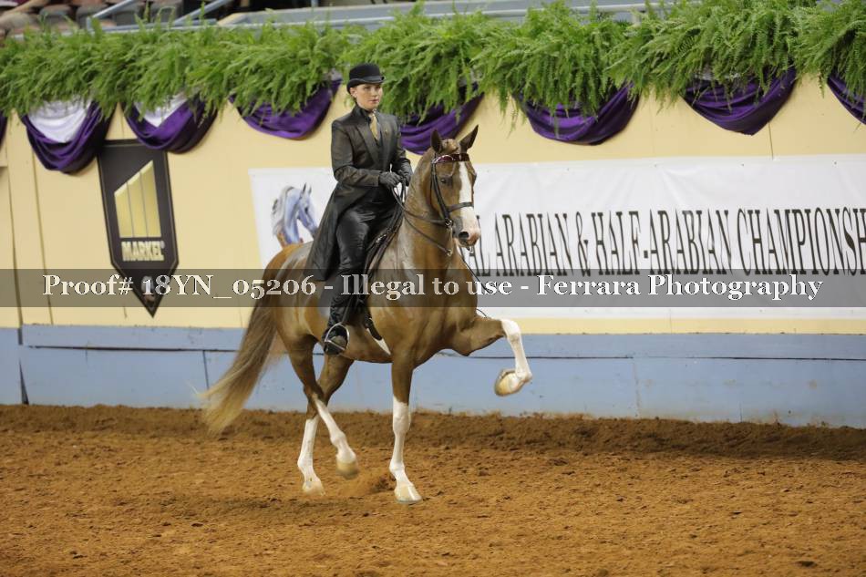 Proof 18YN_05206