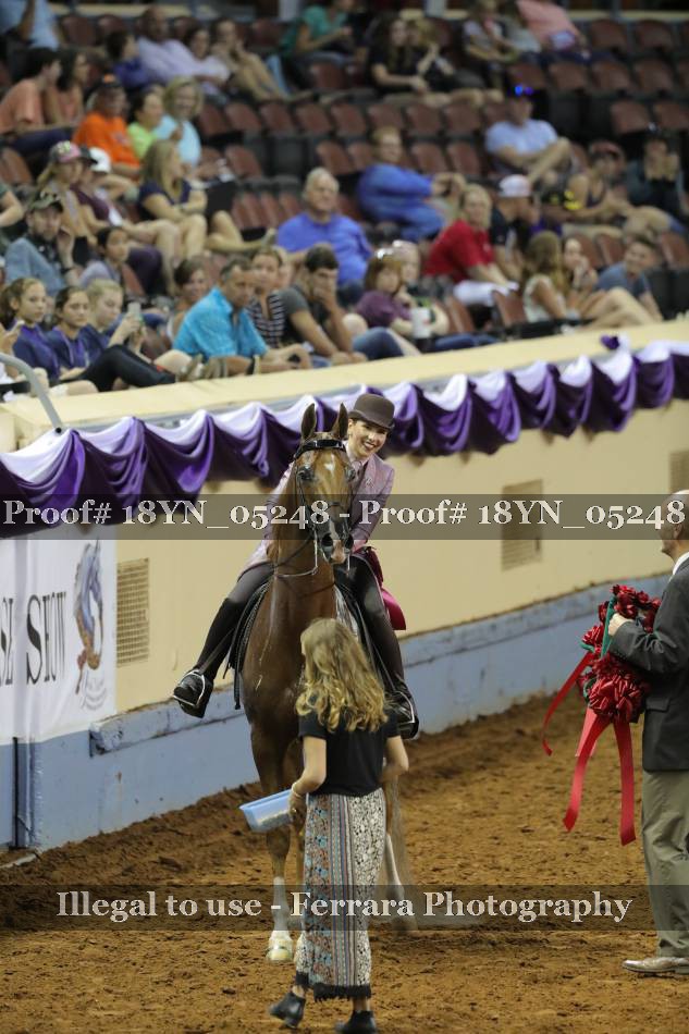 Proof 18YN_05248