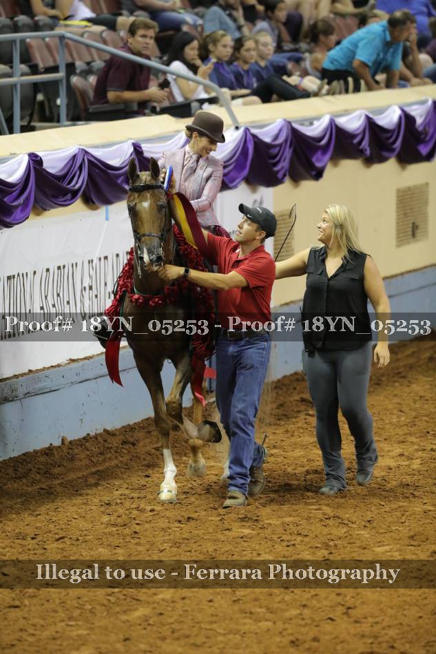 Proof 18YN_05253