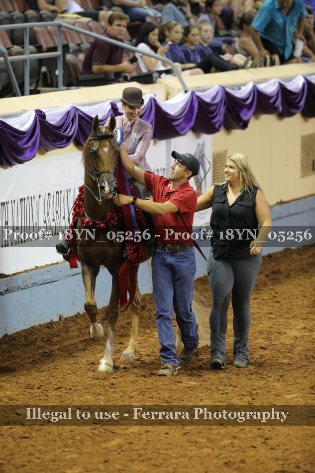 Proof 18YN_05256