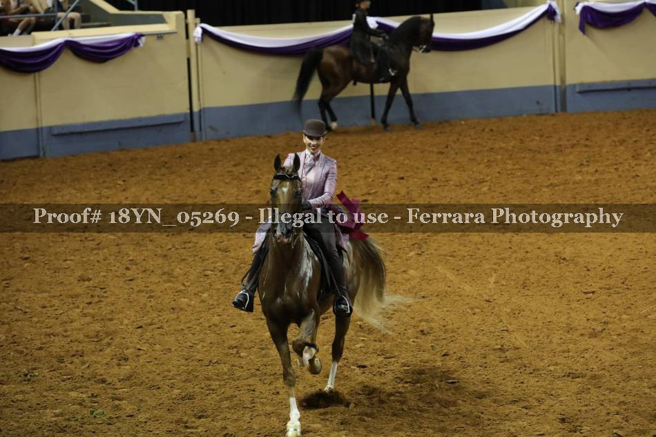 Proof 18YN_05269