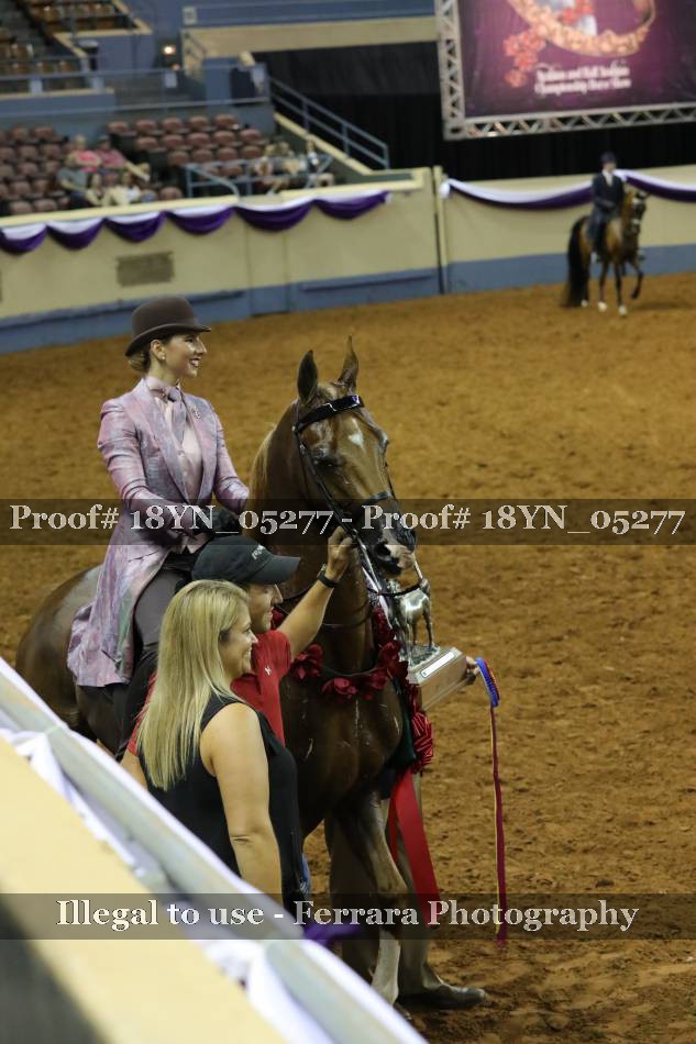 Proof 18YN_05277