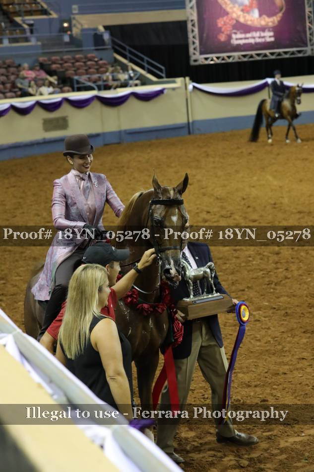 Proof 18YN_05278