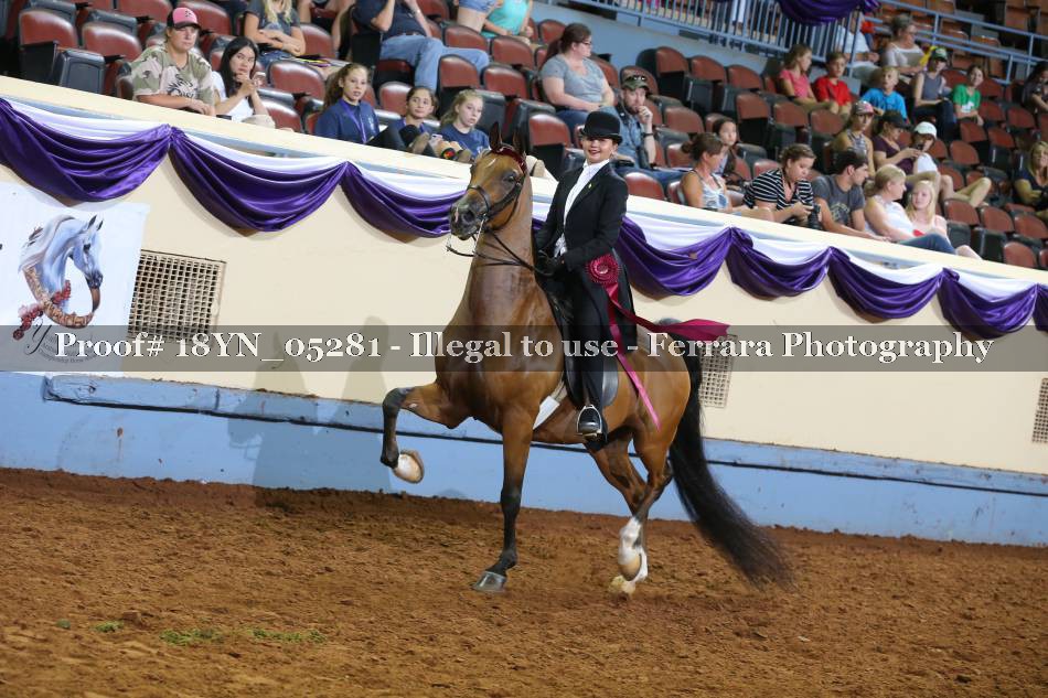 Proof 18YN_05281