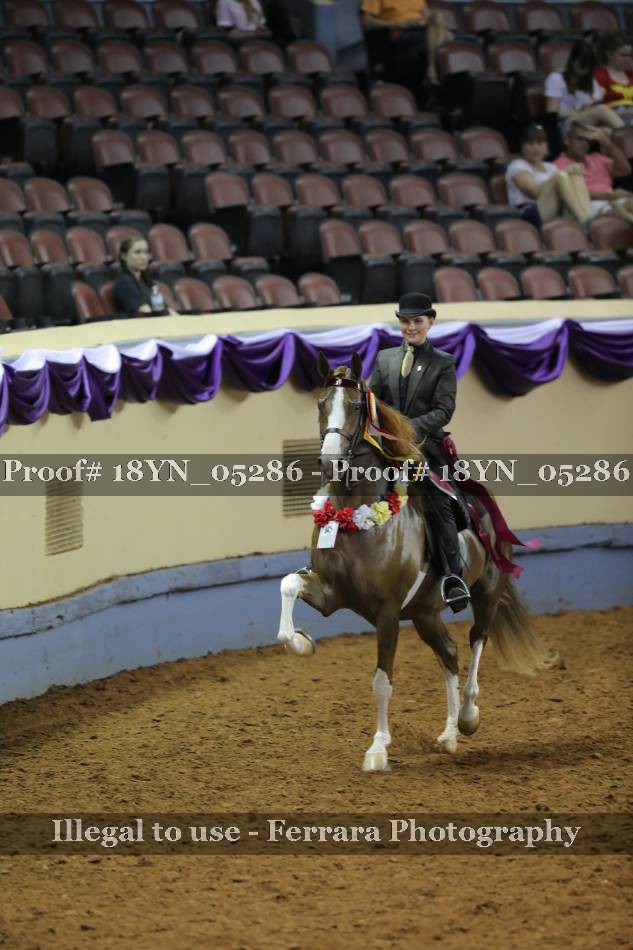 Proof 18YN_05286