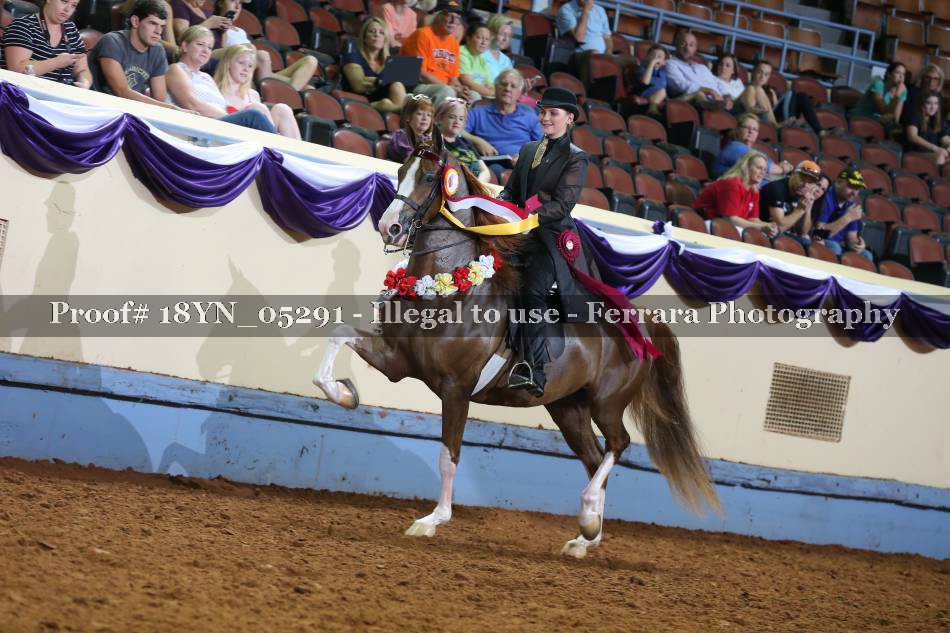 Proof 18YN_05291