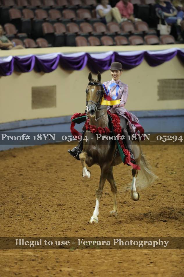 Proof 18YN_05294