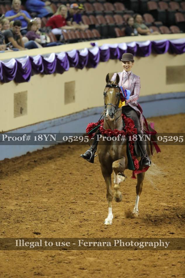 Proof 18YN_05295